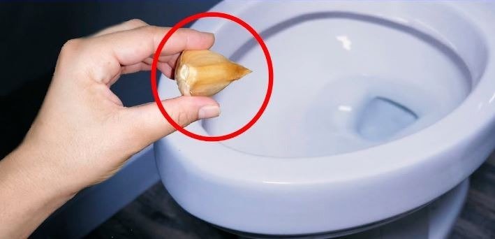 Size neden klozete bir diş sarımsak koyduğumu anlatıyorum! ➤ haberion.com