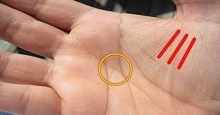 ‘X’ harfi avucunuzda: geleceğiniz hakkında ne söylüyor ➤ haberion.com