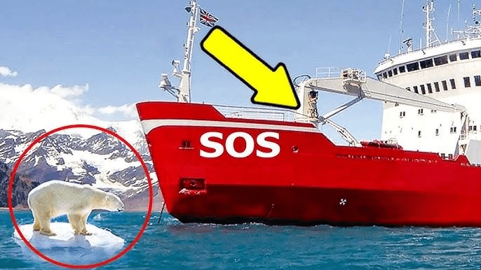 Fisherman Doesn’t Notice Polar Bear – Watch What Happened ➤ Главное.net