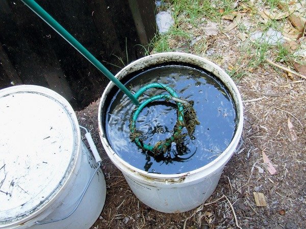 Bahçeye Jelatin Ektiğinizde Ne Olur? ➤ Главное.net