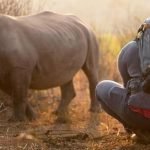 Mężczyzna próbuje zepchnąć małego nosorożca z drogi. Podjeżdżając bliżej, zdaje sobie sprawę, że coś jest nie tak ➤ haberion.com